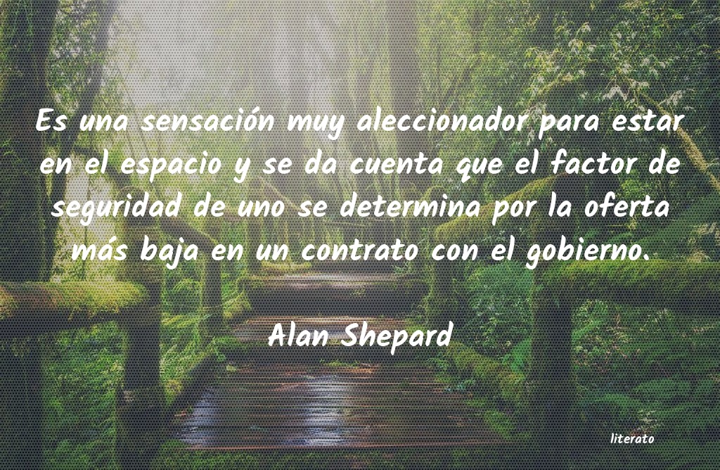 Frases de Alan Shepard