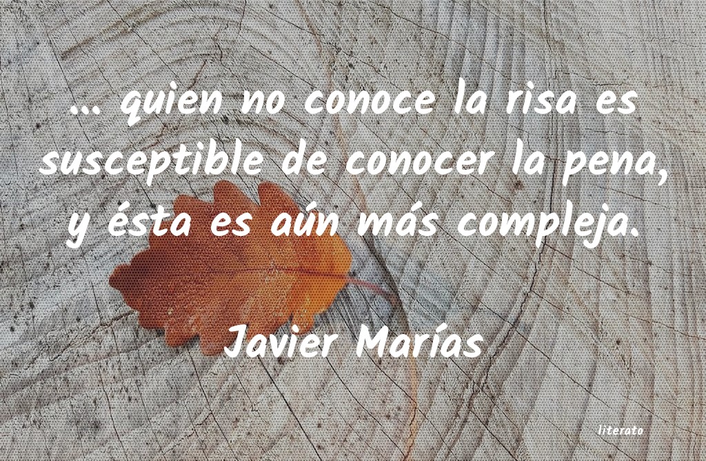querer conocer