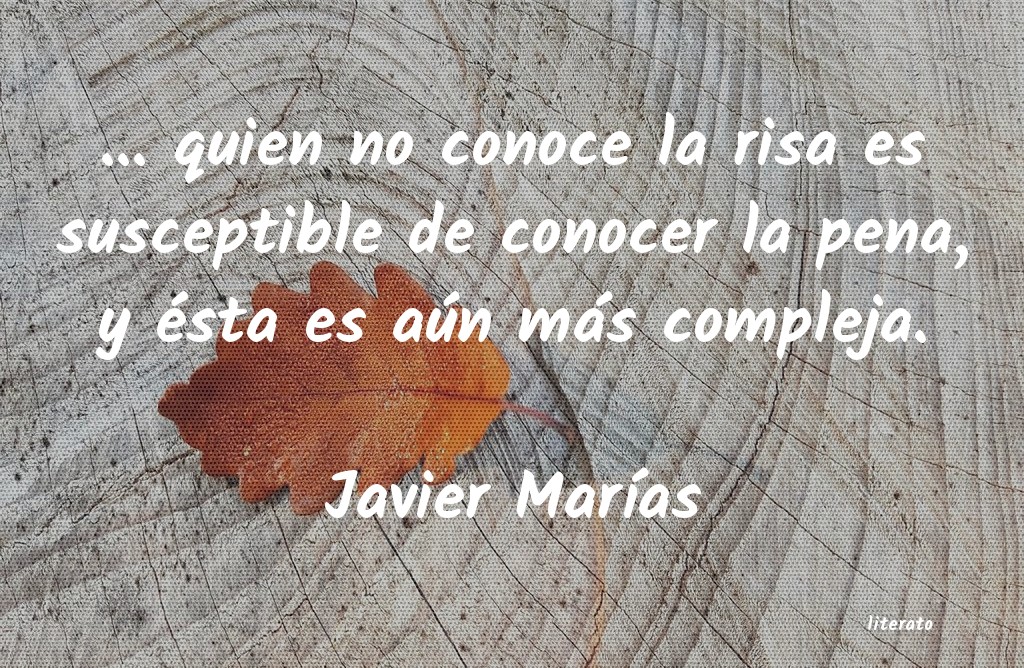 Frases de Javier Marías