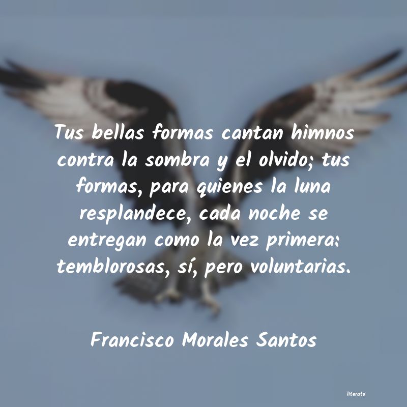 frases de Francisco Morales Santos