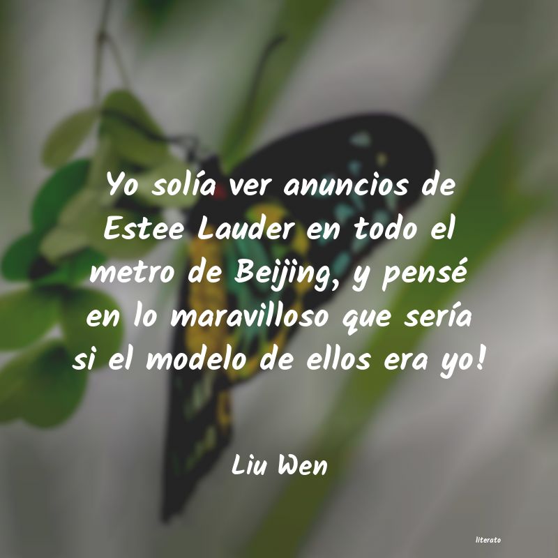 Frases de Liu Wen