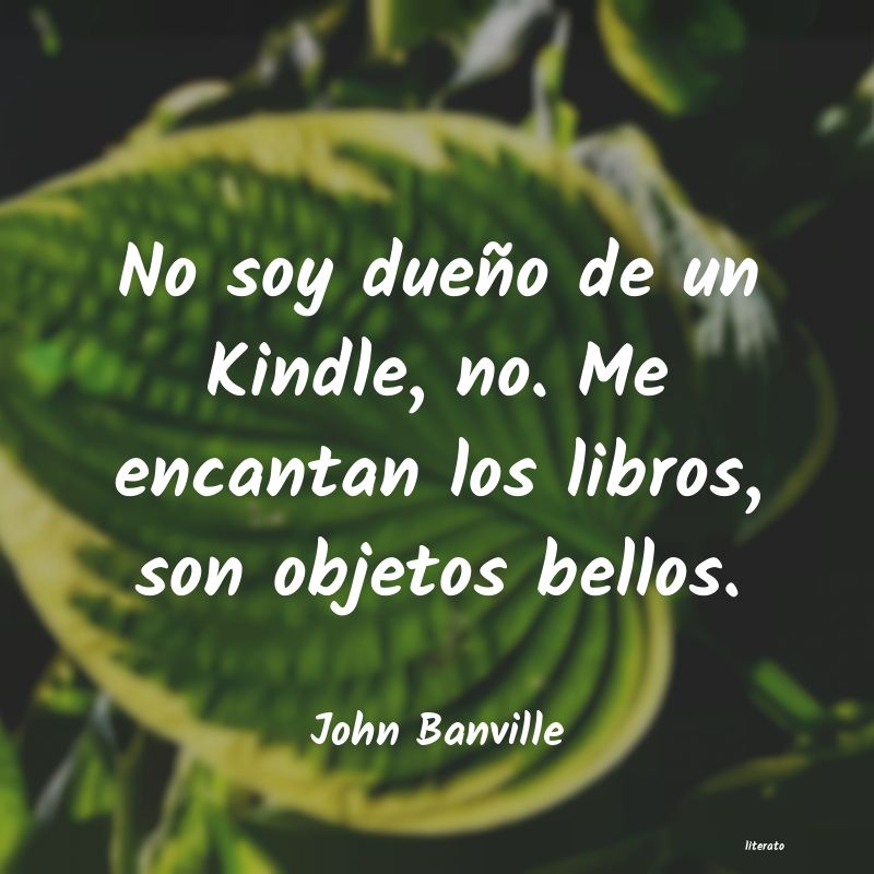 Frases de John Banville