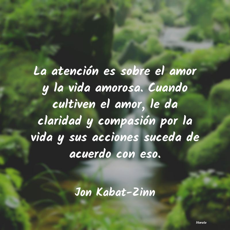 Frases de Jon Kabat-Zinn