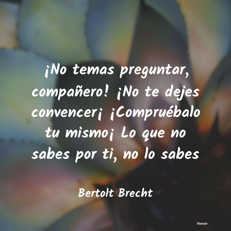 <ol class='breadcrumb' itemscope itemtype='http://schema.org/BreadcrumbList'>
<li itemprop='itemListElement'><a href='/autores/'>Autores</a></li>
<li itemprop='itemListElement'><a href='/autor/bertolt_brecht/'>Bertolt Brecht</a></li>
</ol>