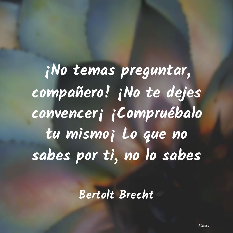 Frases de Bertolt Brecht