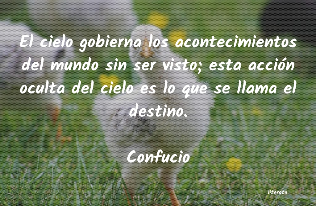 frases de Confucio
