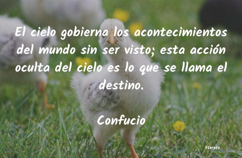 Frases de Confucio