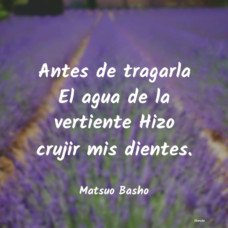 Frases de Matsuo Basho