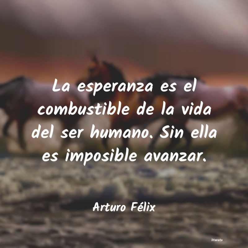 Frases de Arturo Félix