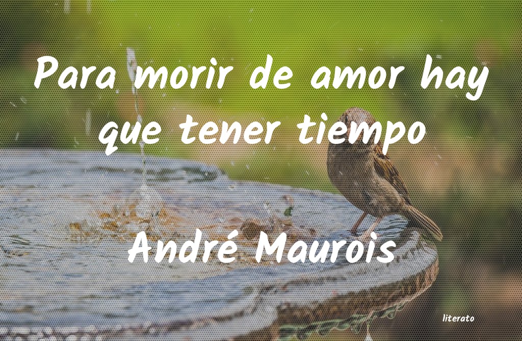 Frases de André Maurois