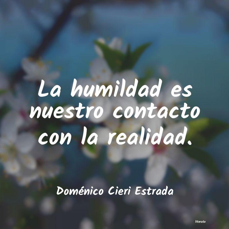 Frases de Doménico Cieri Estrada