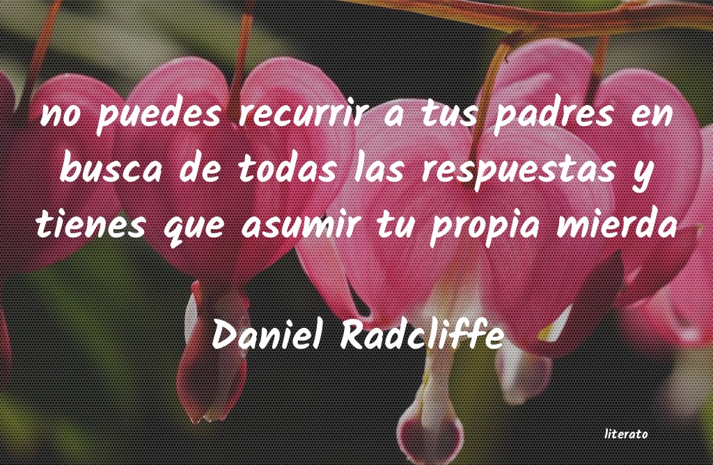 Frases de Daniel Radcliffe