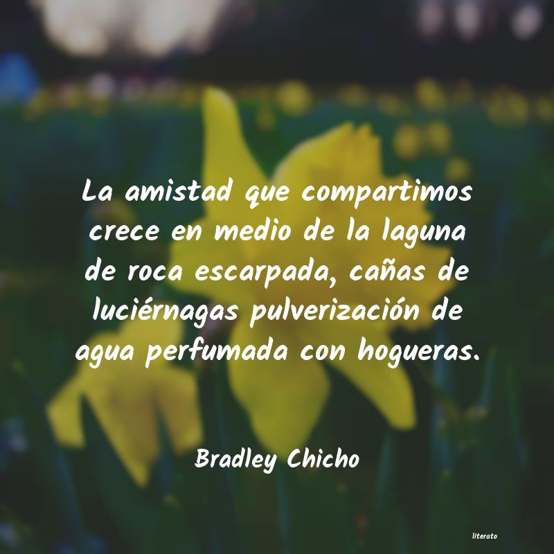 Frases de Bradley Chicho