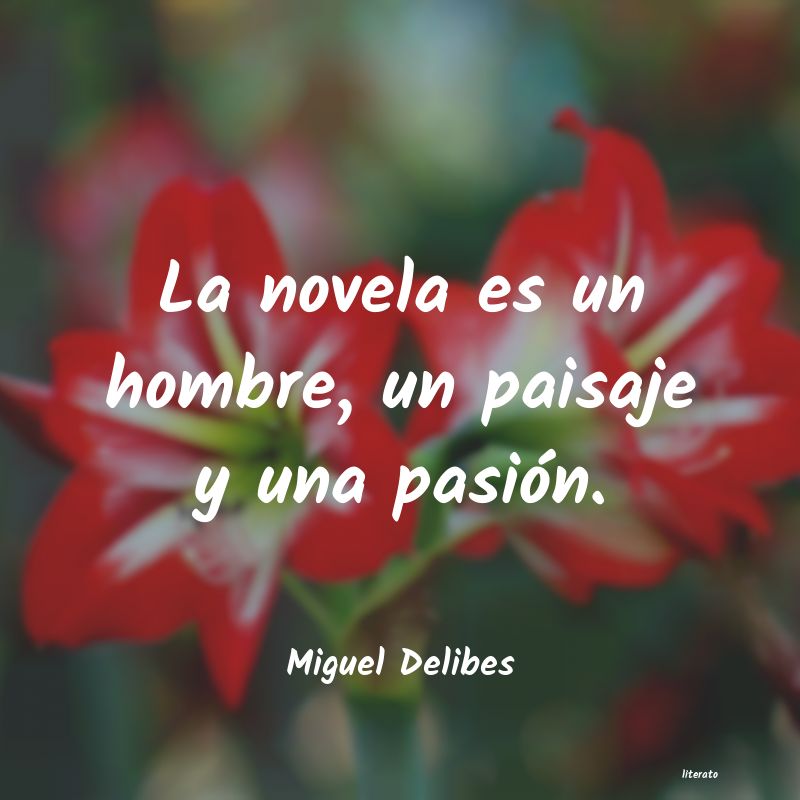 frases de Miguel Delibes