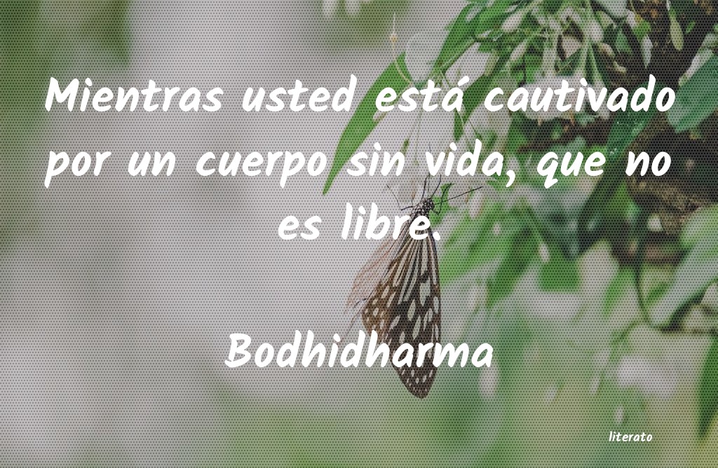 frases de Bodhidharma