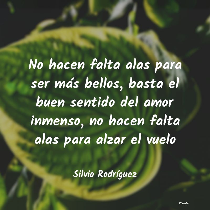 Frases de Silvio Rodríguez