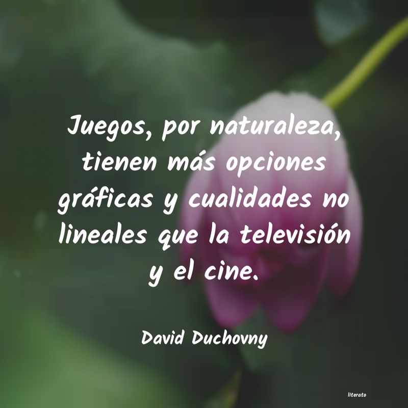 Frases de David Duchovny