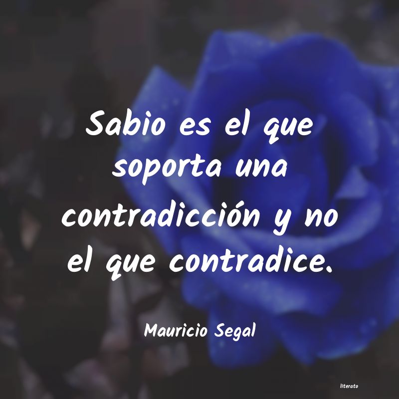 frases de Mauricio Segal