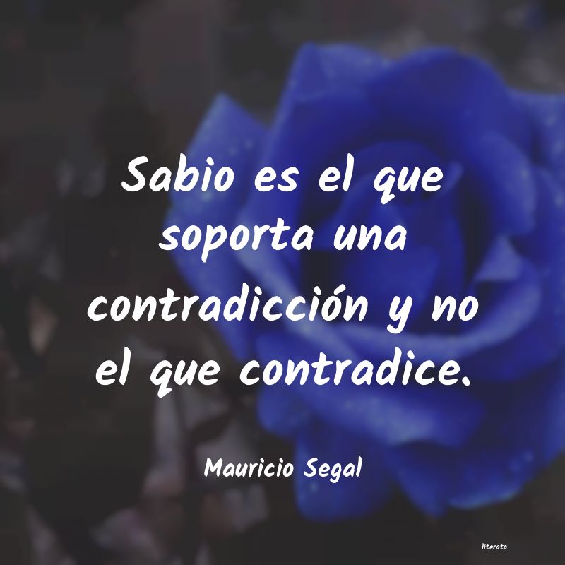 Frases de Mauricio Segal