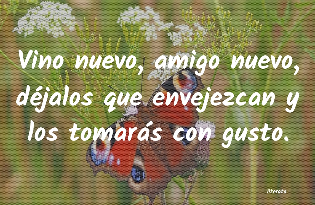 frases