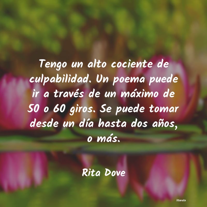 Frases de Rita Dove