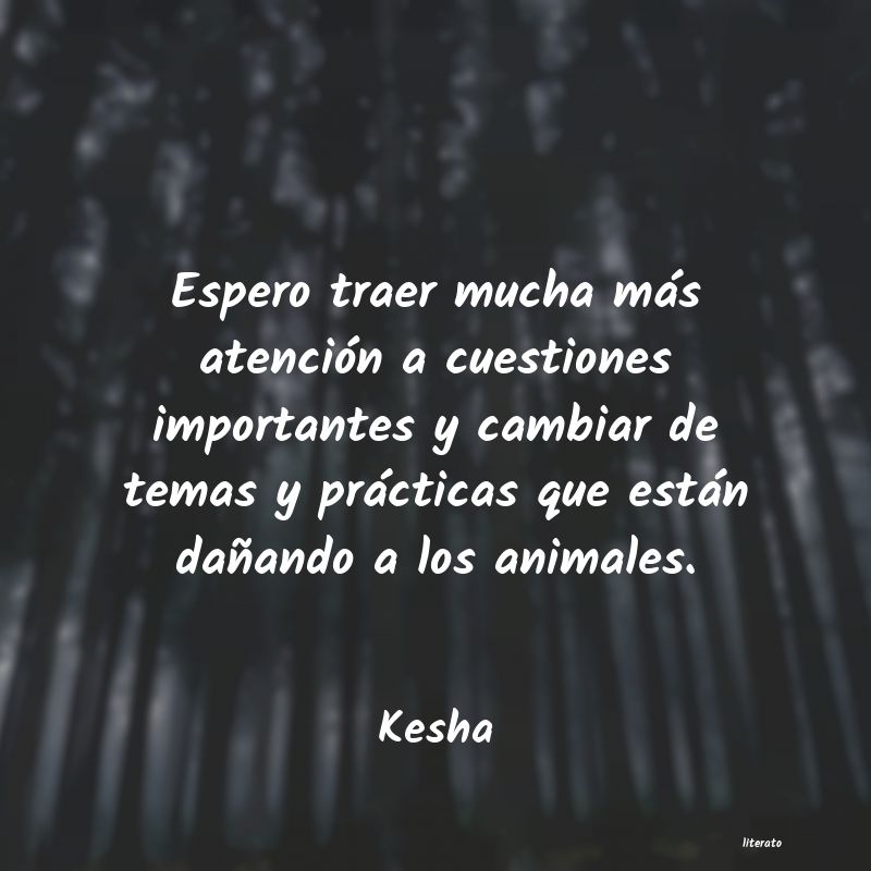 frases de Kesha