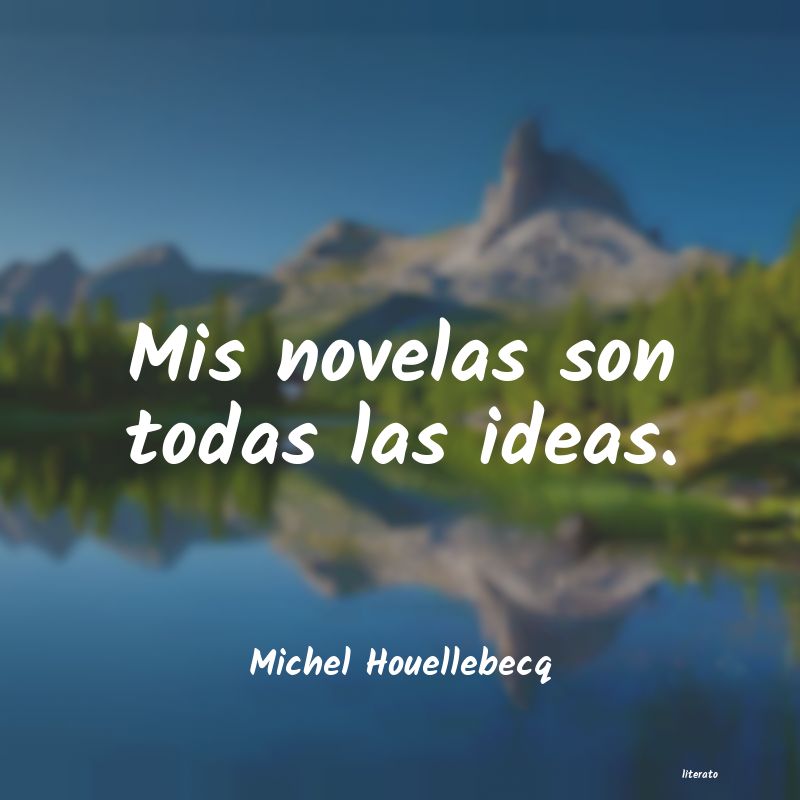 frases de Michel Houellebecq