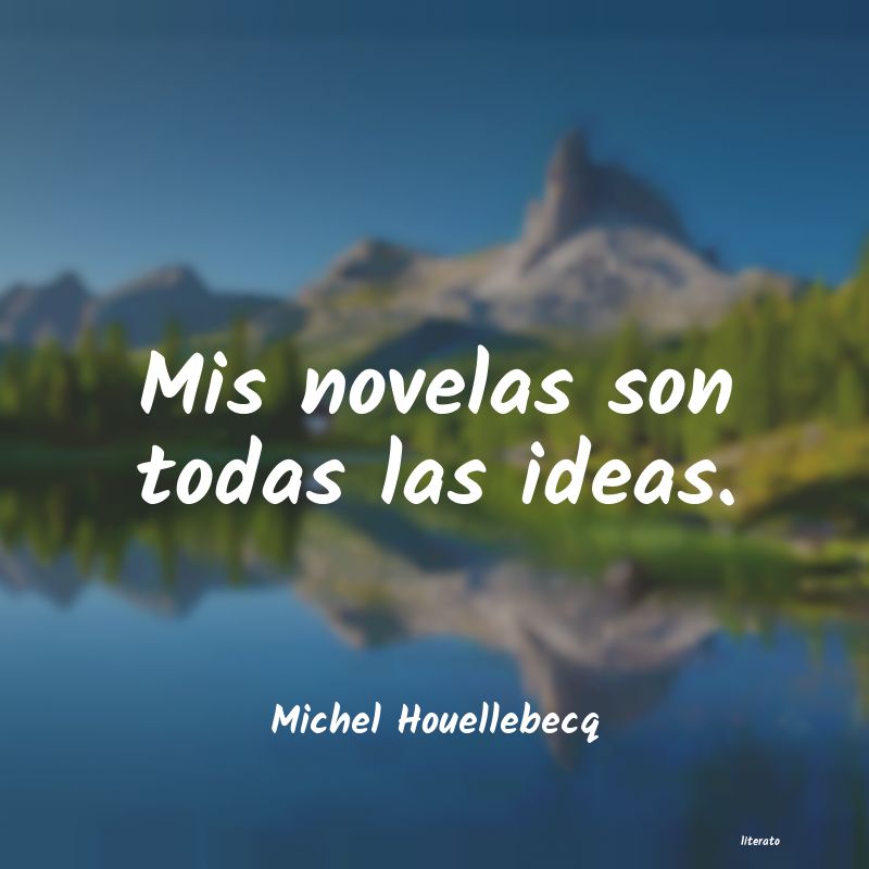 Frases de Michel Houellebecq