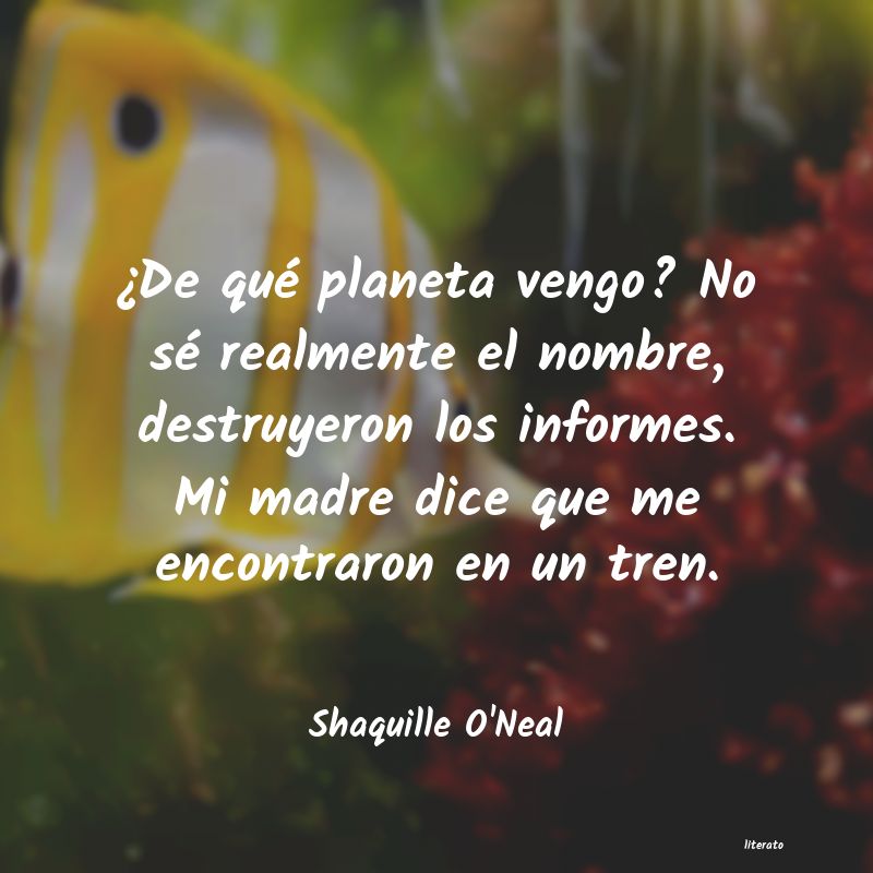 Frases de Shaquille O'Neal