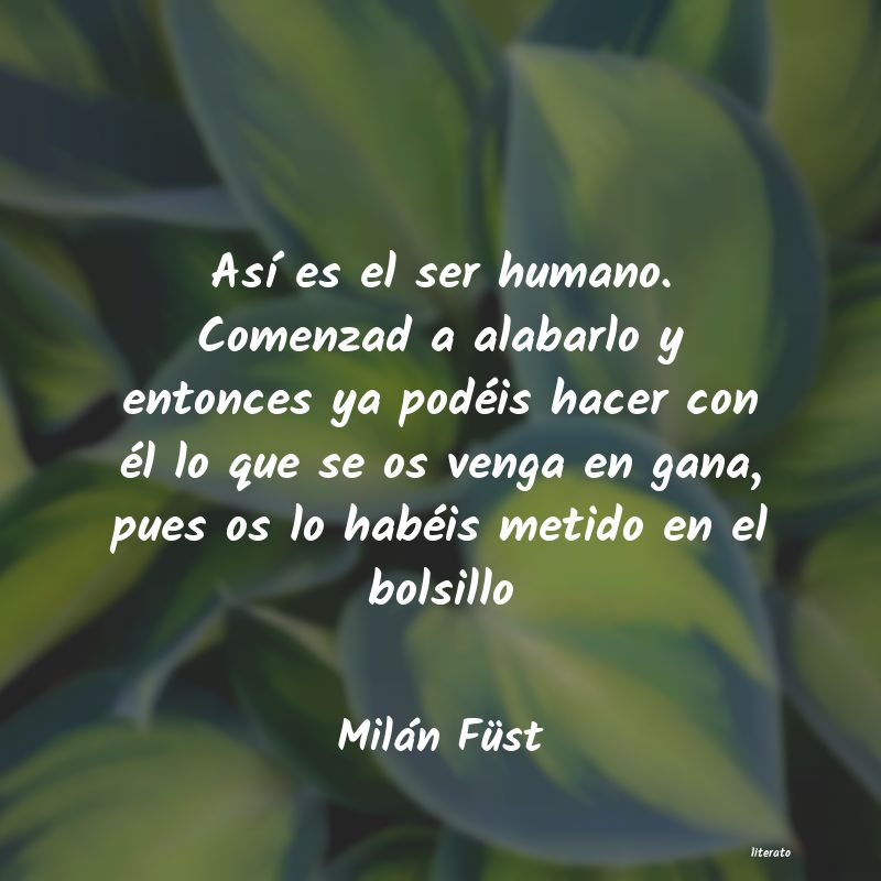 Frases de Milán Füst