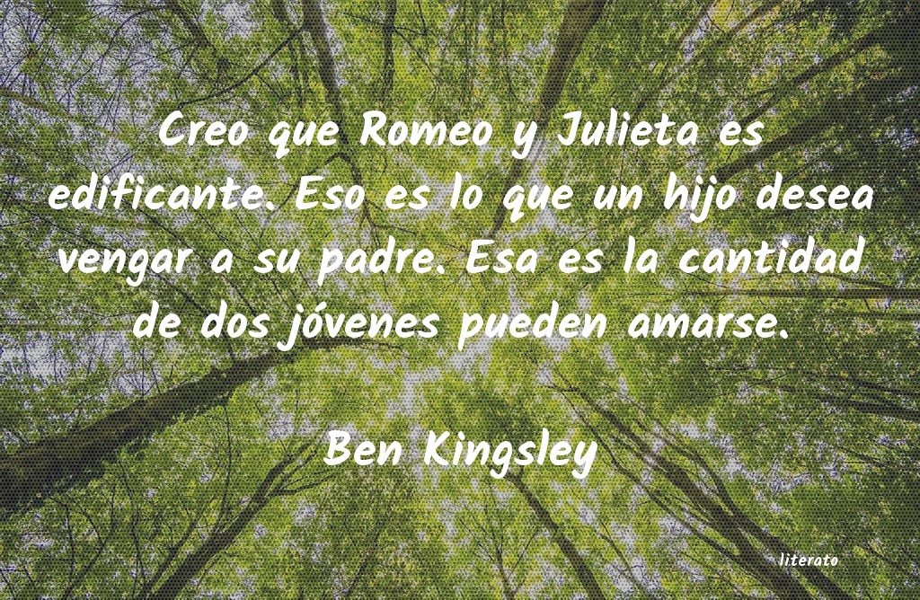 Frases de Ben Kingsley