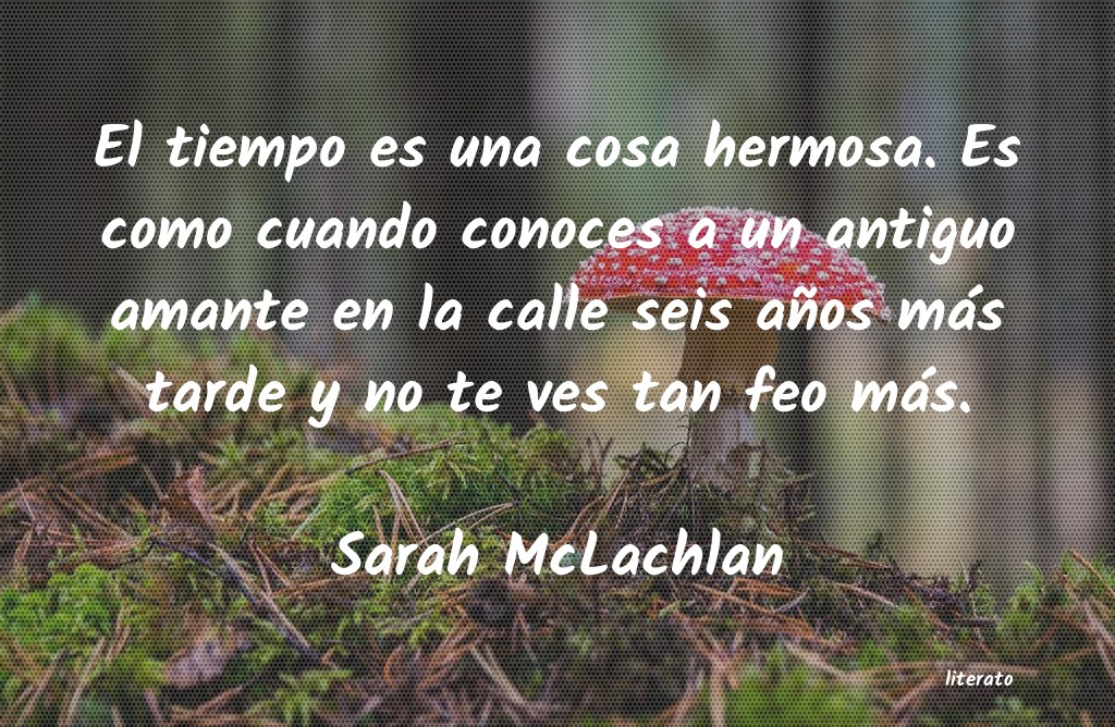 frases de Sarah McLachlan