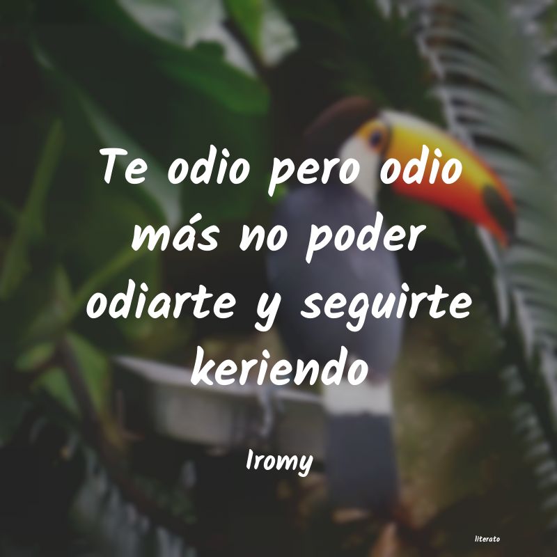 frases de Iromy