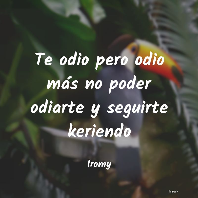 Frases de Iromy