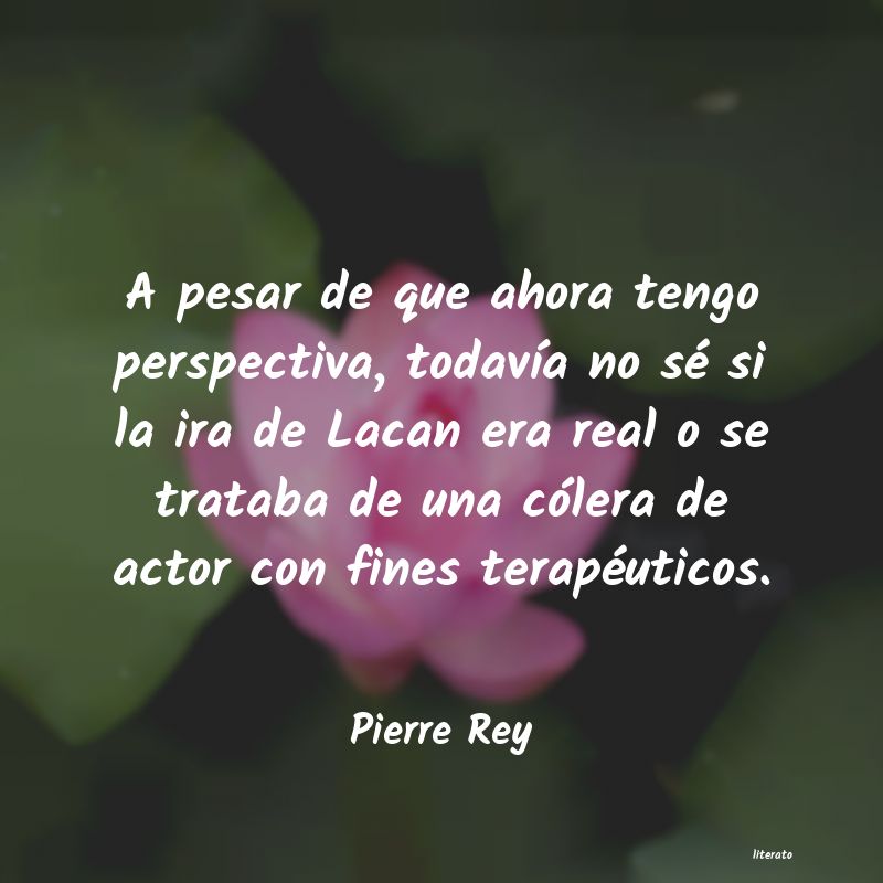 Frases de Pierre Rey