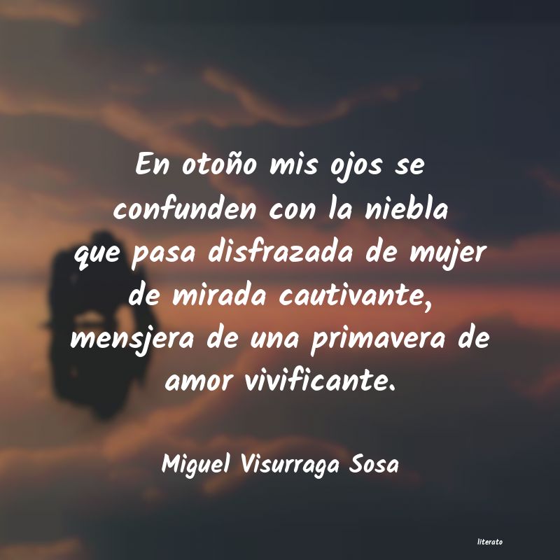 Frases de Miguel Visurraga Sosa