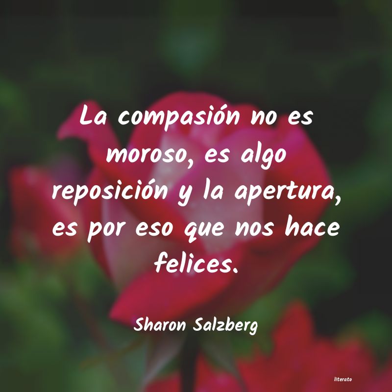 Frases de Sharon Salzberg