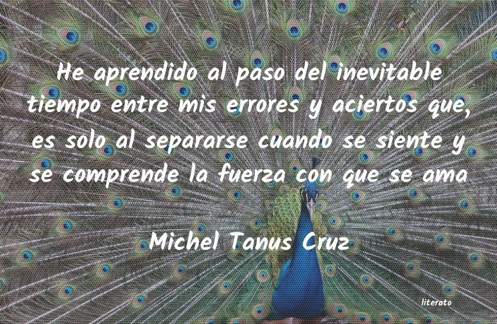 frases cuando uno se siente solo