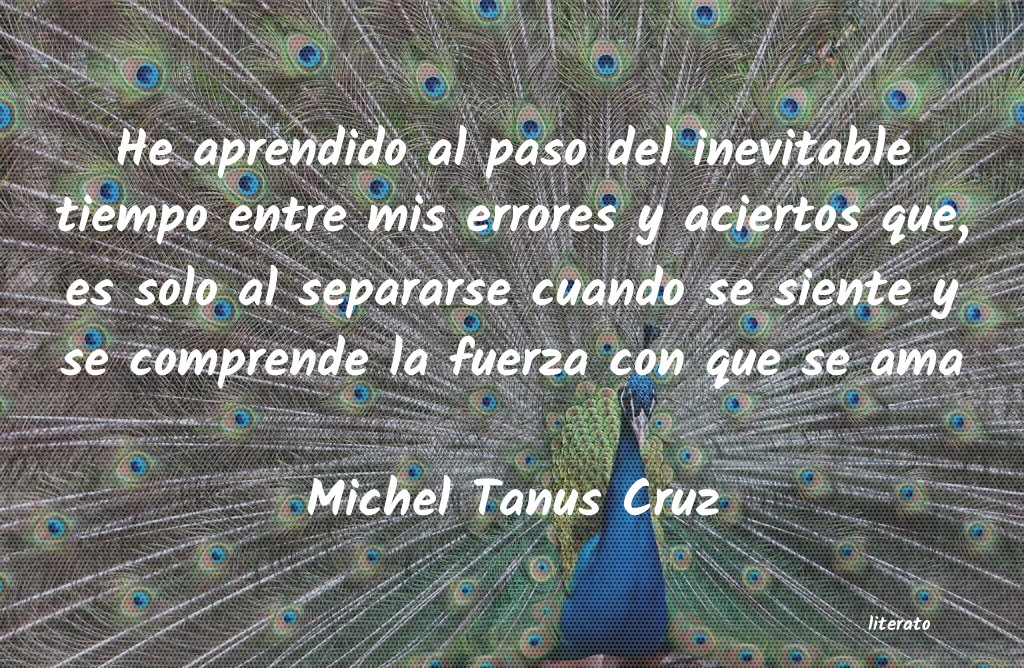 Frases de Michel Tanus Cruz