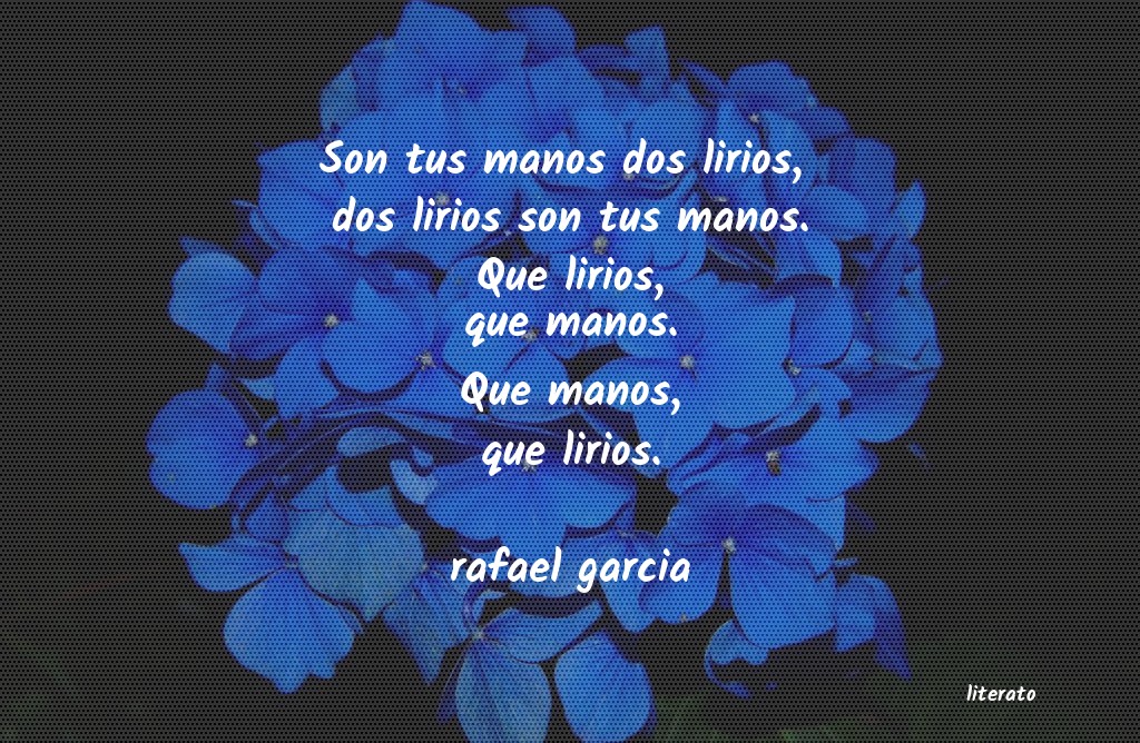 Frases de rafael garcia