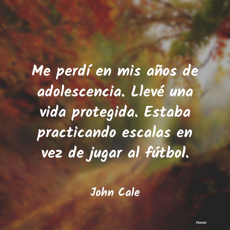Frases de John Cale