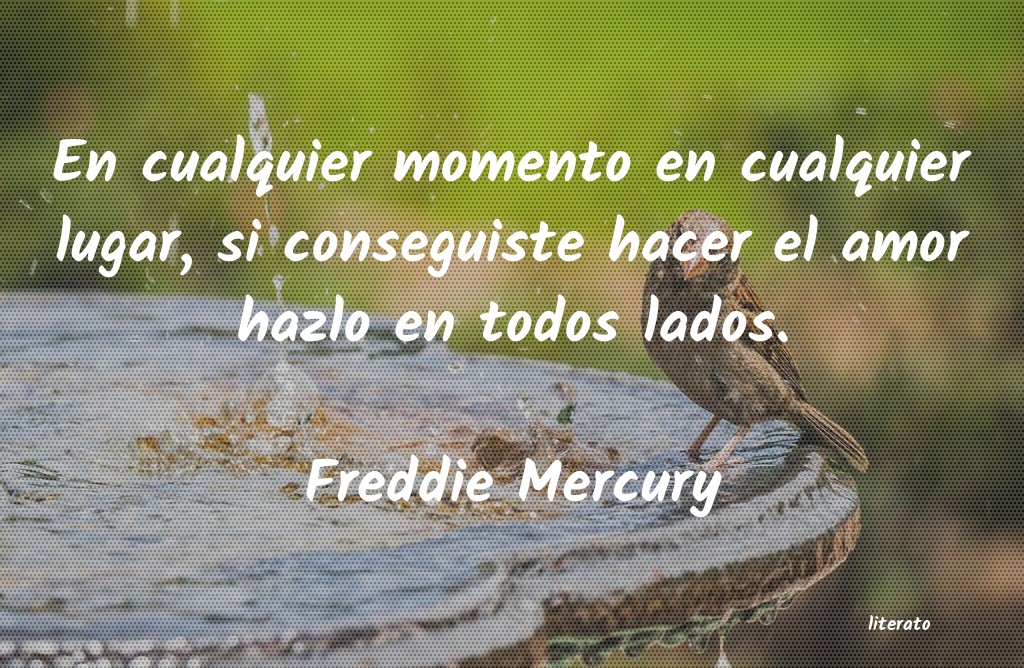 Frases de Freddie Mercury