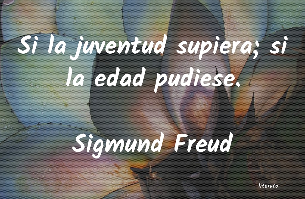 frases de Sigmund Freud
