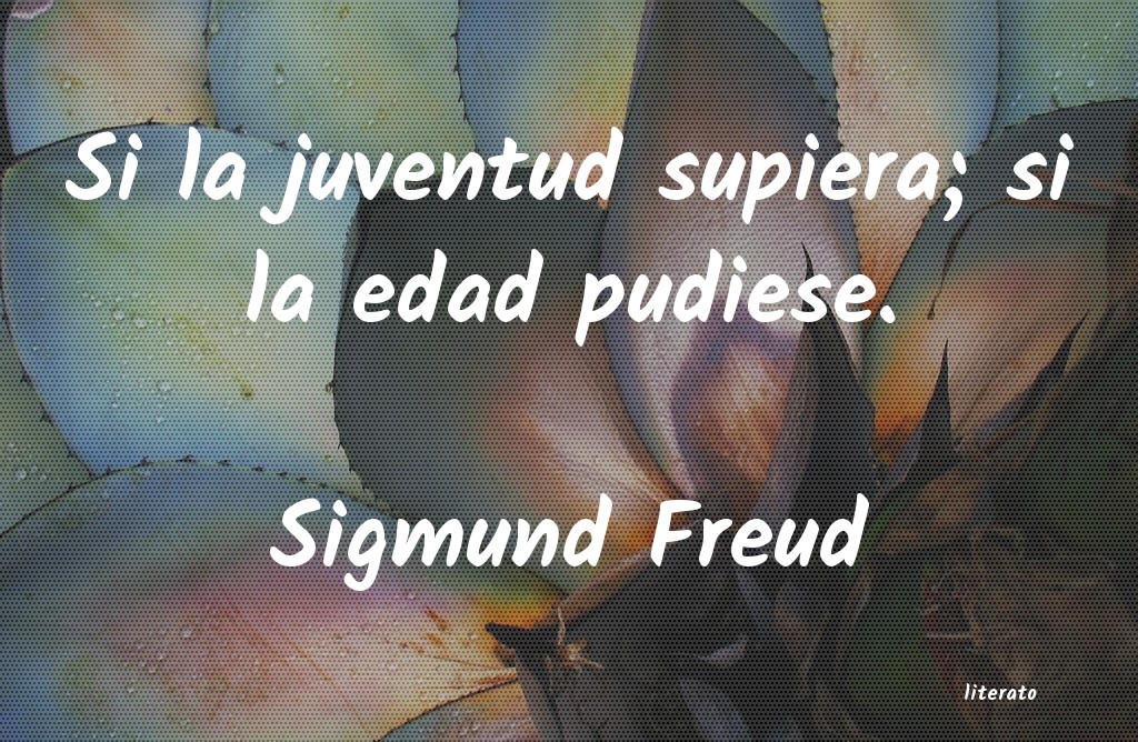 frases de psicologos freud