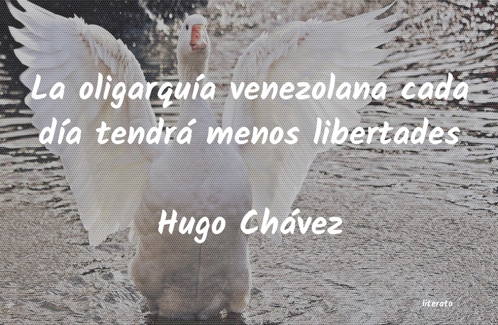 frases de Hugo Chávez