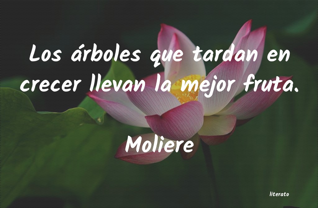 Frases de Moliere