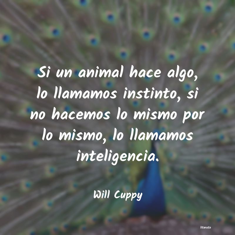 Frases de Will Cuppy