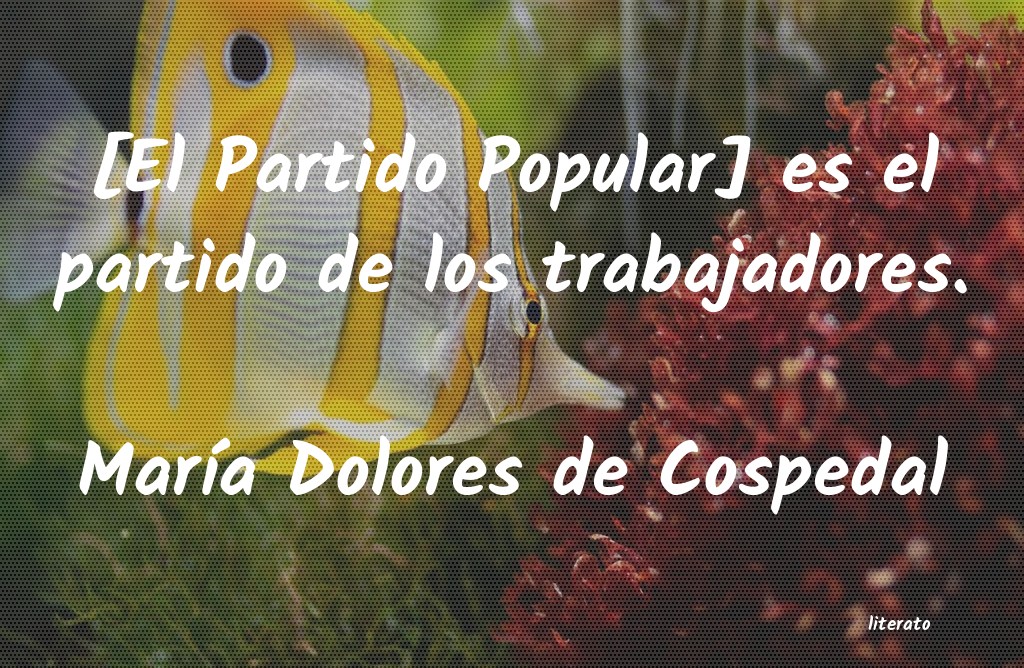 Frases de María Dolores de Cospedal