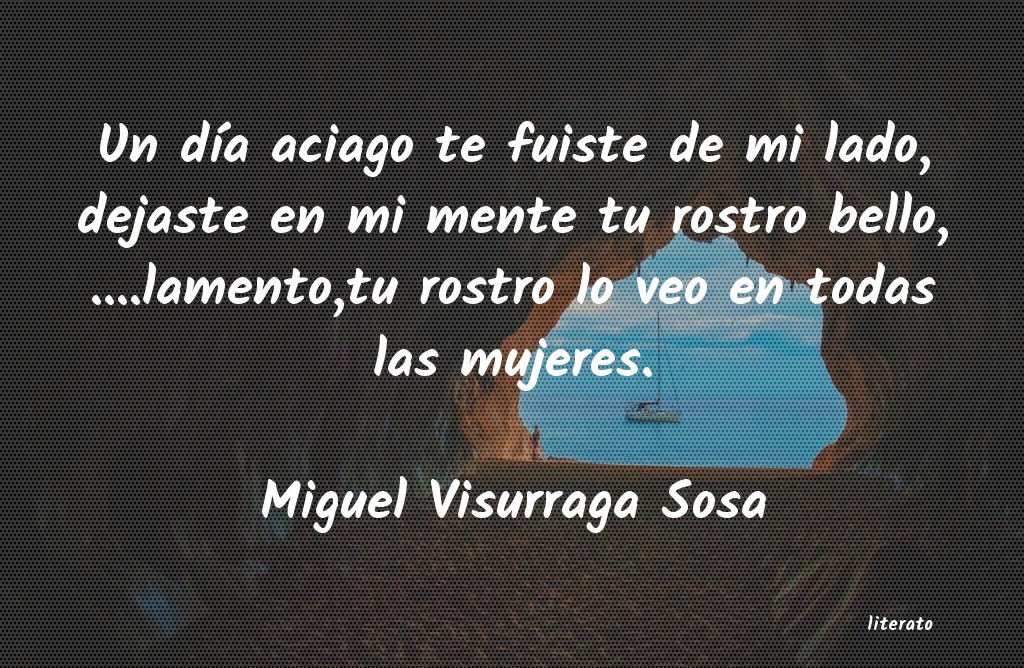 Frases de Miguel Visurraga Sosa