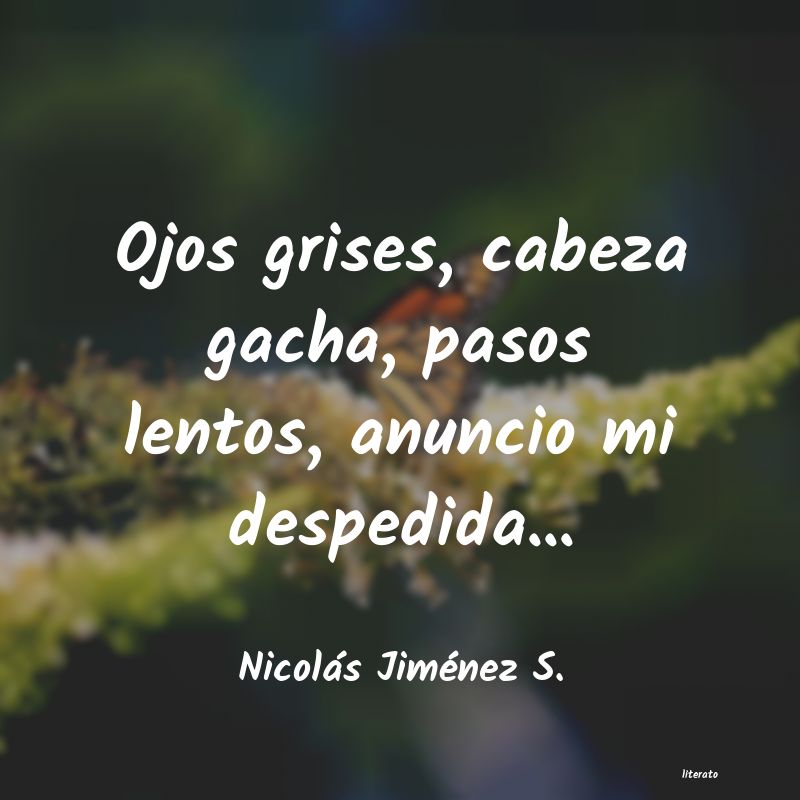 Frases de Nicolás Jiménez S.